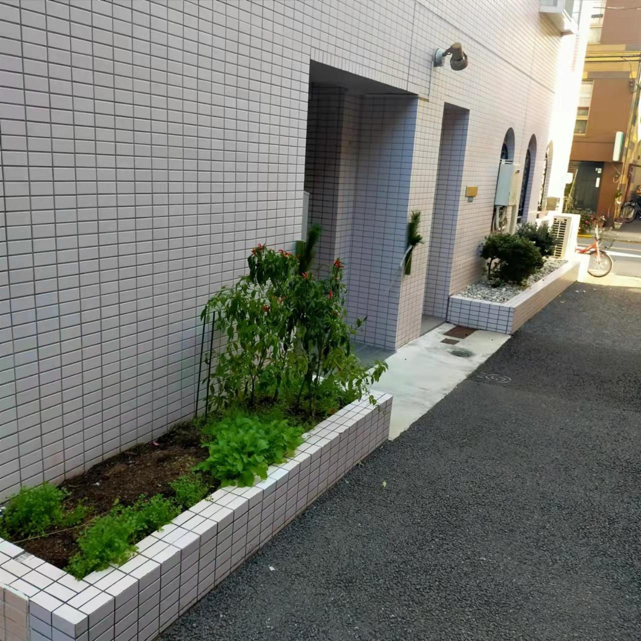 Shiki No Sai Asakusa * โตเกียว
